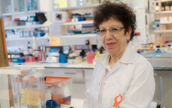 Des chercheurs israéliens font une percée dans la lutte contre le lupus